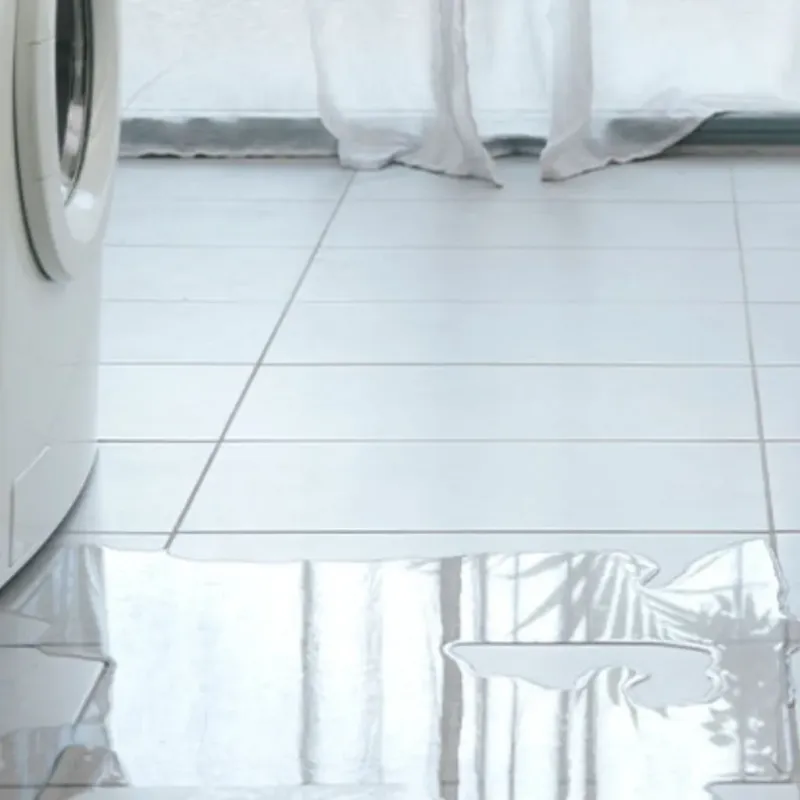 Appliance Leak Cleanup in Randall County, TX
