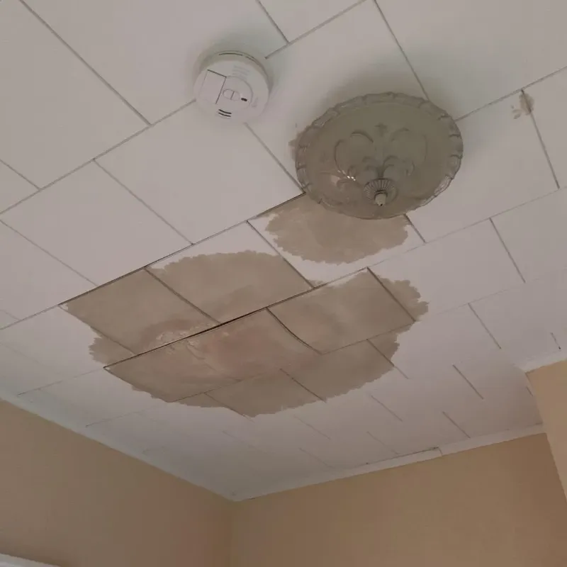 Ceiling Water Damage Repair in Randall County, TX