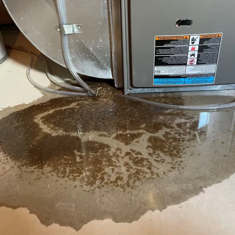 Pipe Burst and Leak Restoration in Randall County, TX