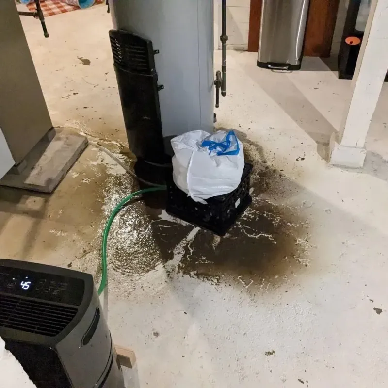 Sewage Backup Cleanup Service in Randall County, TX